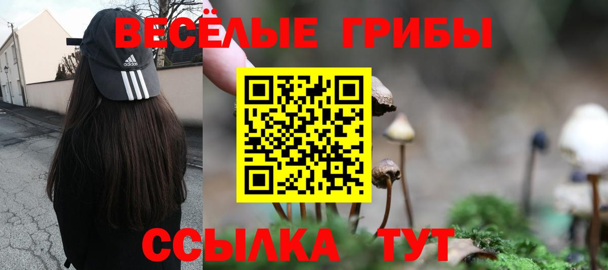 Галлюциногенные грибы MAGIC MUSHROOMS Губаха
